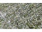 7 Tipau Street, Torbay, Auckland - Carousel 1