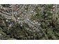 3 Blundell Place, Chatswood, Auckland - Carousel 1