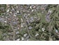 41C Veale Road, Frankleigh Park, New Plymouth - Carousel 1