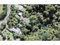 786 West Coast Road, Oratia, Auckland - Carousel 1