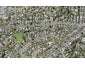 7C Marendellas Drive, Bucklands Beach, Auckland - Carousel 1