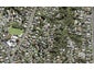 122 Canongate Street, Birkdale, Auckland - Carousel 1