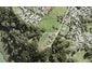 7 Ti Tree Lane, Stanmore Bay, Whangaparaoa - Carousel 1