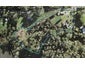 160 Barrett Road, Albany - Carousel 1