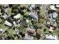 88 Ferry Parade, Herald Island, Auckland - Carousel 1