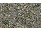 7 Ara Rewarewa, Papatoetoe, Auckland - Carousel 1