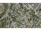 27E Sunnyside Road, Sunnyvale, Auckland - Carousel 1