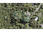 49 Kauri Point Road, Laingholm, Auckland - Carousel 1