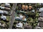 22 Ascot Avenue, Remuera, Auckland - Carousel 1
