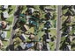 8 Nekuneku Lane, Mount Roskill, Auckland - Carousel 1