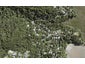 81 Laingholm Drive, Laingholm, Auckland - Carousel 1