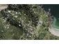 20 Great Barrier Road, Oneroa, Waiheke Island - Carousel 1
