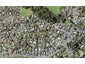 17E Janome Place, Bucklands Beach, Auckland - Carousel 1