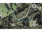 17 Brydes Street, Albany Heights, Auckland - Carousel 1