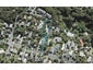 87 Balmain Road, Birkenhead, Auckland - Carousel 1