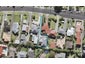 23A Kokiri Street, Te Atatu South, Auckland - Carousel 1