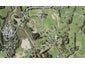 33 Trig Road, Howick - Carousel 1