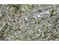 2/4 Lex Avenue, Green Bay, Auckland - Carousel 1