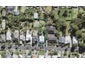 47 Third Avenue, Kingsland, Auckland - Carousel 1