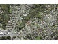 56A Verran Road, Birkdale, Auckland - Carousel 1