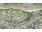 156 Pacific Parade, Army Bay, Whangaparaoa - Carousel 1