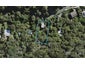 10 Frank Street, Oneroa, Waiheke Island - Carousel 1