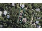16 Upland Road, Omiha, Waiheke Island - Carousel 1
