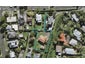 2B Hornes Lane, Onehunga, Auckland - Carousel 1
