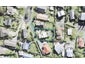 20 Arohia Place, Snells Beach, Snells Beach - Carousel 1