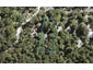 173 Laingholm Drive, Laingholm, Auckland - Carousel 1