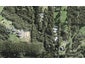 217 Lonely Track Road, Albany Heights, Auckland - Carousel 1