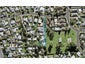 26E Brennan Avenue, Te Atatū Peninsula, Auckland - Carousel 1
