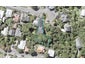 30 Totara Street, Eastbourne, Lower Hutt - Carousel 1