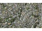 50A Sprott Road, Kohimarama, Auckland - Carousel 1