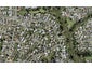 27E Ennis Avenue, Pakuranga Heights, Auckland - Carousel 1