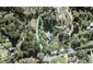 20 Hobbs Road, Matakatia, Whangaparaoa - Carousel 1
