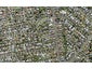 7 Ambrose Street, Mount Albert, Auckland - Carousel 1