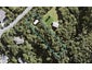 42 Te Ahuahu Road, Piha, Piha - Carousel 1
