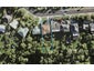 28 James Tyler Crescent, Lynfield, Auckland - Carousel 1