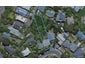 106 Rakau Road, Hataitai, Wellington - Carousel 1