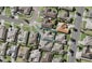 34 Newinn Crescent, East Tāmaki Heights, Auckland - Carousel 1
