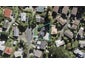 2/3 Braund Place, Glenfield, Auckland - Carousel 1