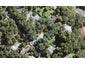 16 Minnehaha Avenue, Titirangi, Auckland - Carousel 1