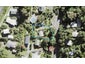 23 Buckleton Road, Tāwharanui Peninsula, Matakana - Carousel 1