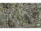 143C Methuen Road, New Windsor, Auckland - Carousel 1