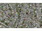 36 Finch Street, Morningside, Auckland - Carousel 1