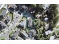 29 Corricvale Way, Northcross, Auckland - Carousel 1