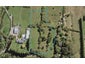 7D Mudgeways Road, Massey, Auckland - Carousel 1