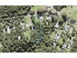 54 Mountain Road, Henderson Valley, Auckland - Carousel 1
