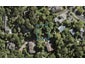 22B Highland Avenue, Titirangi, Auckland - Carousel 1